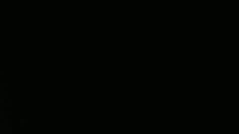 Aurora Willows online show from April 12, 2026, 4:45 pm