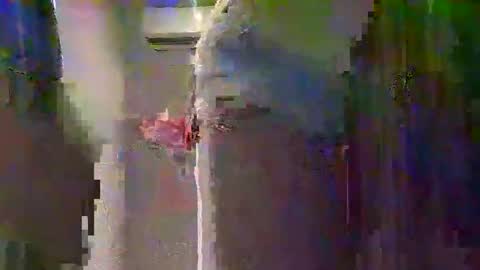 Snapshot of 14pocketpussy12 chatting on December 15, 2025, 2:10 pm 14pocketpussy12 online show from December 15, 2025, 2:10 pm