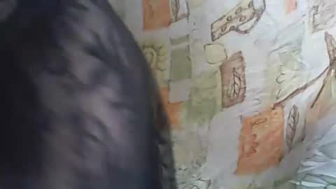 Deluxepussy online show from November 14, 2025, 10:03 am