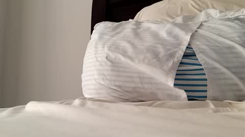 2022felipe online show from December 14, 2024, 8:18 pm