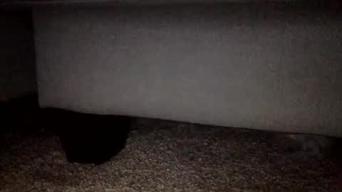 30nick online show from February 2, 2026, 3:16 am