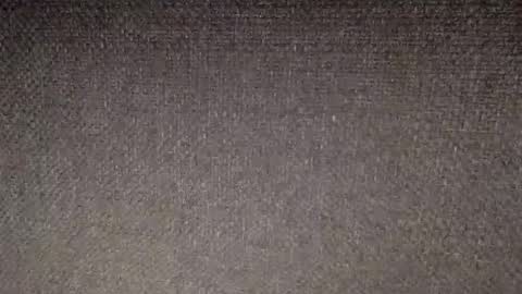 30nick online show from February 14, 2026, 10:01 am