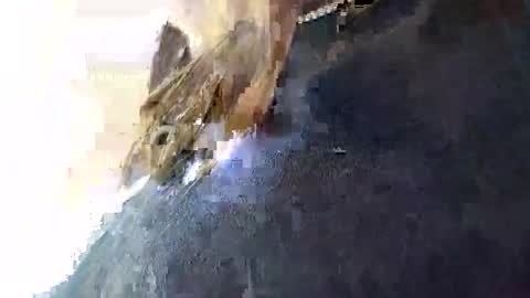 3X NAXAA online show from January 16, 2026, 1:59 pm