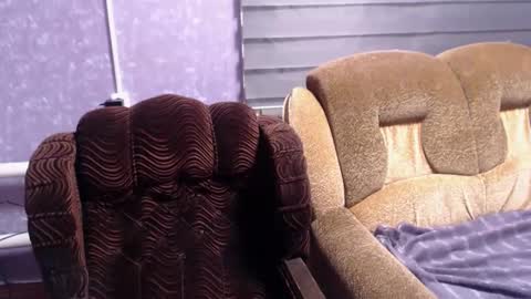 Snapshot of 444____ chatting on March 8, 2025, 7:42 pm Katya online show from March 8, 2025, 7:42 pm