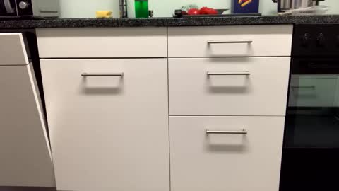 Snapshot of 4evervirgo chatting on November 27, 2025, 5:37 pm Alex online show from November 27, 2025, 5:37 pm