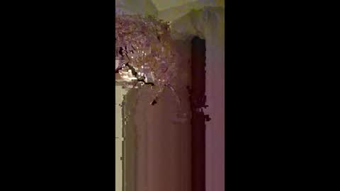 Snapshot of 60zeus60 chatting on February 22, 2026, 3:40 am Zeus online show from February 22, 2026, 3:40 am