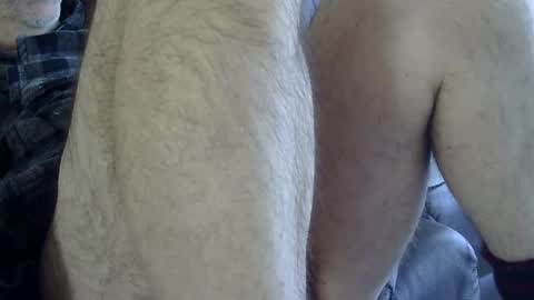 Snapshot of 66bear chatting on February 8, 2025, 6:12 pm 66bear online show from February 8, 2025, 6:12 pm