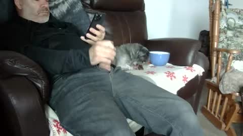 Snapshot of 66bear chatting on October 31, 2025, 5:47 pm 66bear online show from October 31, 2025, 5:47 pm