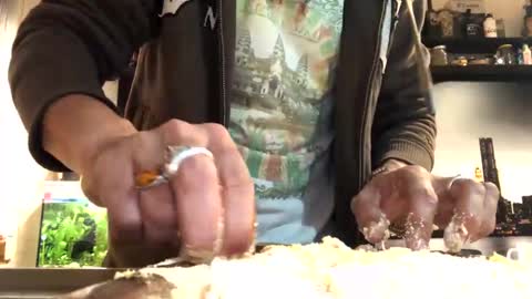 Snapshot of 6990fiko chatting on February 1, 2025, 5:47 pm 6990fiko online show from February 1, 2025, 5:47 pm