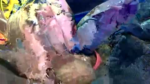 Snapshot of 6990fiko chatting on October 27, 2025, 11:58 am 6990fiko online show from October 27, 2025, 11:58 am