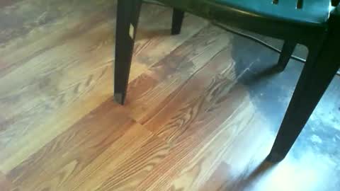 69forever453443 online show from November 19, 2025, 1:22 pm