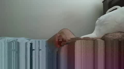 6boss498491 online show from February 23, 2026, 12:52 am