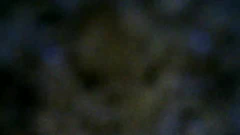 Snapshot of 77lilu chatting on June 18, 2026, 10:03 pm Lilu online show from June 18, 2026, 10:03 pm