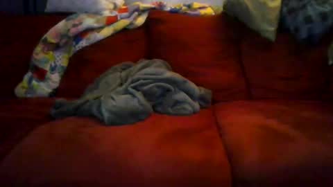 Snapshot of 77steve7777 chatting on December 18, 2025, 11:16 am 77steve7777 online show from December 18, 2025, 11:16 am