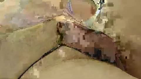 Snapshot of 8385 chatting on March 3, 2025, 12:15 am 8385 online show from March 3, 2025, 12:15 am