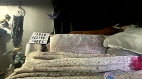 Snapshot of 88heygirlhey88 chatting on March 6, 2026, 2:57 pm That girl online show from March 6, 2026, 2:57 pm