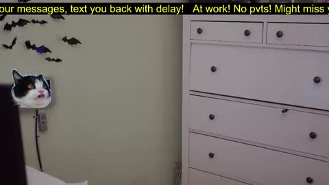 Snapshot of _3x7_ chatting on October 7, 2025, 6:16 pm _3x7_ online show from October 7, 2025, 6:16 pm