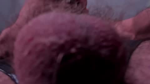 _adamcoper_ online show from October 25, 2025, 3:40 pm