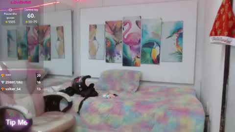 Snapshot of _alegriamartinez_ chatting on February 19, 2025, 9:58 pm _alegriamartinez_ online show from February 19, 2025, 9:58 pm