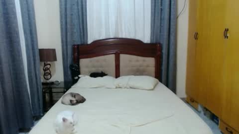 Snapshot of _amberxxx chatting on January 30, 2025, 5:39 pm Amber online show from January 30, 2025, 5:39 pm