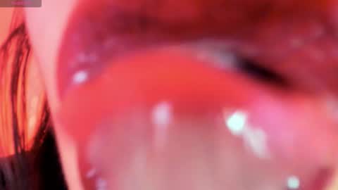 antonia online show from November 13, 2025, 10:14 am