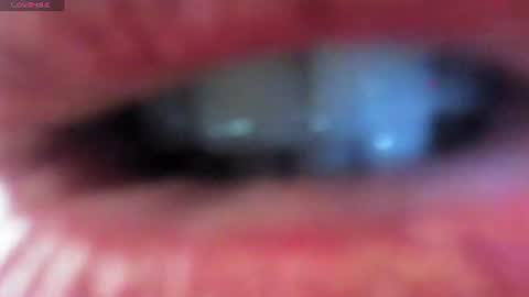 antonia online show from June 17, 2026, 7:26 pm