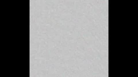 carolina online show from February 7, 2026, 2:21 pm