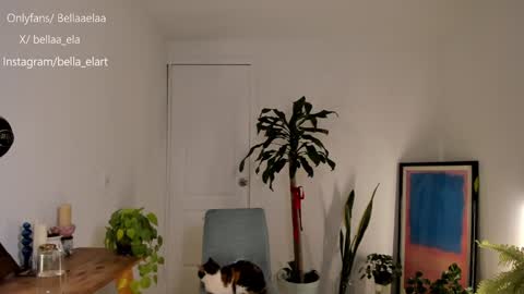 Snapshot of _bellaela chatting on December 10, 2024, 12:50 am Ella online show from December 10, 2024, 12:50 am