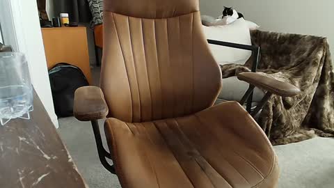 _black_lotus online show from February 2, 2025, 1:34 am