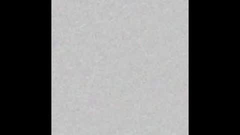 Brenda online show from September 22, 2025, 11:45 am