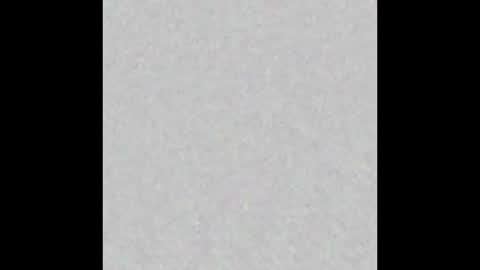 Brenda online show from October 7, 2025, 11:51 am