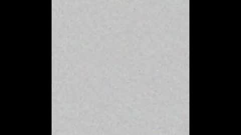 Brenda online show from October 8, 2025, 12:03 pm