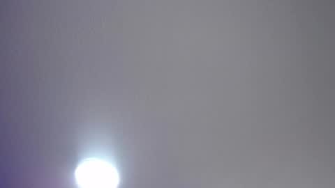 _charlotte_collins_ online show from July 17, 2026, 4:23 pm