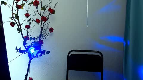 _cutie_and_shy_ online show from April 28, 2026, 6:40 am