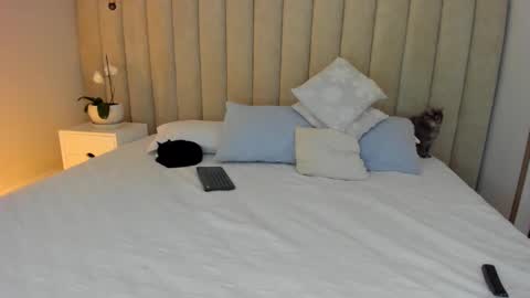 Snapshot of _dara_ chatting on February 1, 2025, 11:48 pm Dara online show from February 1, 2025, 11:48 pm