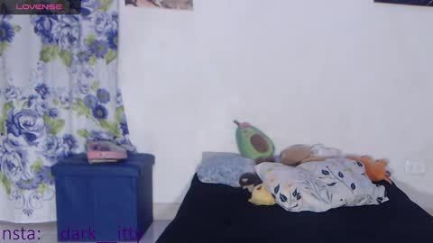 Snapshot of _darkitty_ chatting on January 15, 2025, 6:12 am Darkitty online show from January 15, 2025, 6:12 am