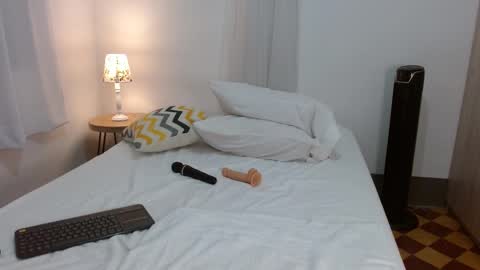 Snapshot of _diana_cute chatting on February 11, 2025, 5:37 am Diana online show from February 11, 2025, 5:37 am