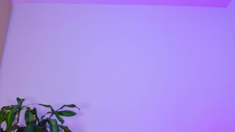 Snapshot of _emilymoon_x chatting on February 3, 2026, 2:53 am Emi online show from February 3, 2026, 2:53 am