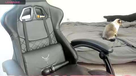 Alis online show from October 7, 2025, 7:27 am