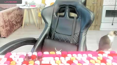 Alis online show from March 10, 2026, 6:29 am