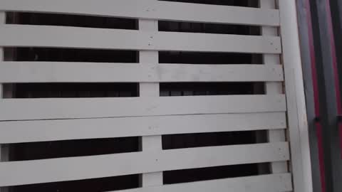 Snapshot of _hidden_frommymoom_ chatting on May 22, 2026, 12:33 pm Criss4u online show from May 22, 2026, 12:33 pm