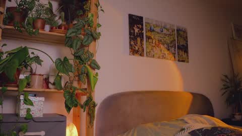 Snapshot of _lightmyfire chatting on June 9, 2026, 2:56 am Salome Lovense always on from 5 tk My content and your custom requests online show from June 9, 2026, 2:56 am