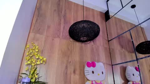 Snapshot of _littlelia chatting on January 17, 2025, 11:49 am Anna online show from January 17, 2025, 11:49 am