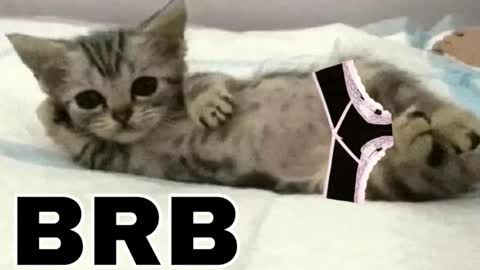 miko3 online show from March 12, 2026, 9:54 pm