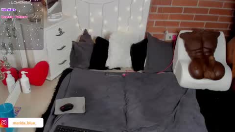 Snapshot of _merida_blue chatting on February 18, 2025, 4:37 am Merida independet model online show from February 18, 2025, 4:37 am