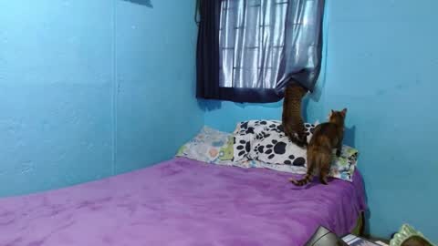 Snapshot of _sammanttha chatting on February 26, 2025, 6:21 pm Sammy online show from February 26, 2025, 6:21 pm