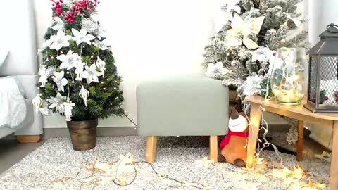 Snapshot of _sassy_girl chatting on December 26, 2024, 6:33 pm Sassy Girl online show from December 26, 2024, 6:33 pm