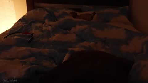 Snapshot of _sensualia_ chatting on September 9, 2025, 6:07 pm Lia online show from September 9, 2025, 6:07 pm