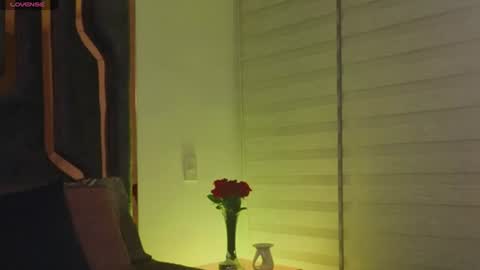 Snapshot of _silvia_vega_ chatting on June 14, 2026, 4:36 am _silvia_vega_ online show from June 14, 2026, 4:36 am