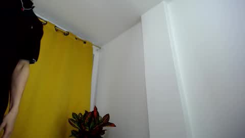 _skyleer_ online show from November 8, 2025, 11:36 pm